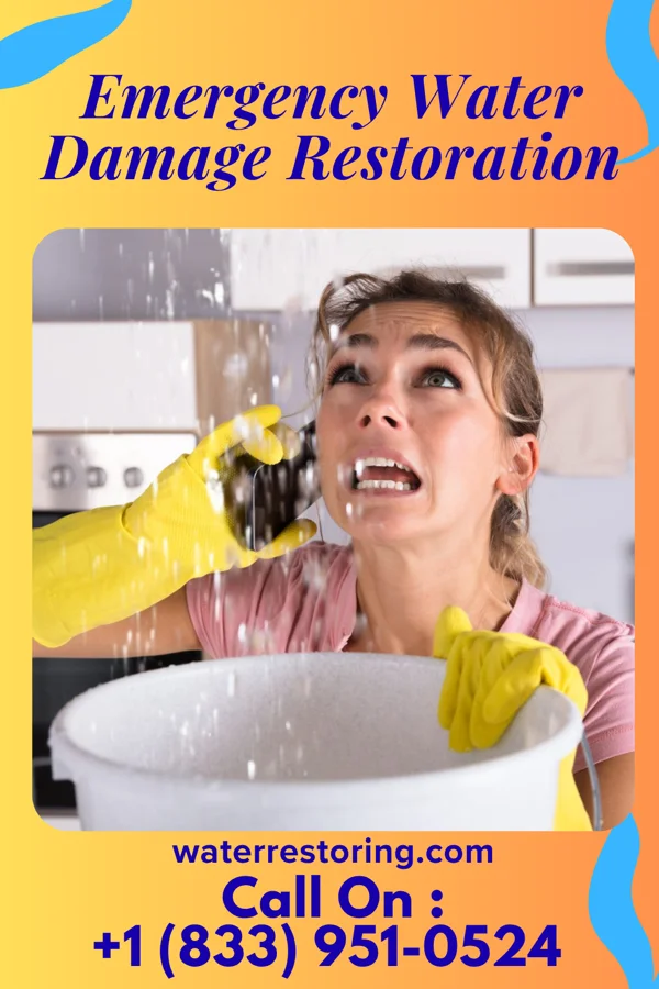 Emergency Water Damage Restoration in Eastshore, KS