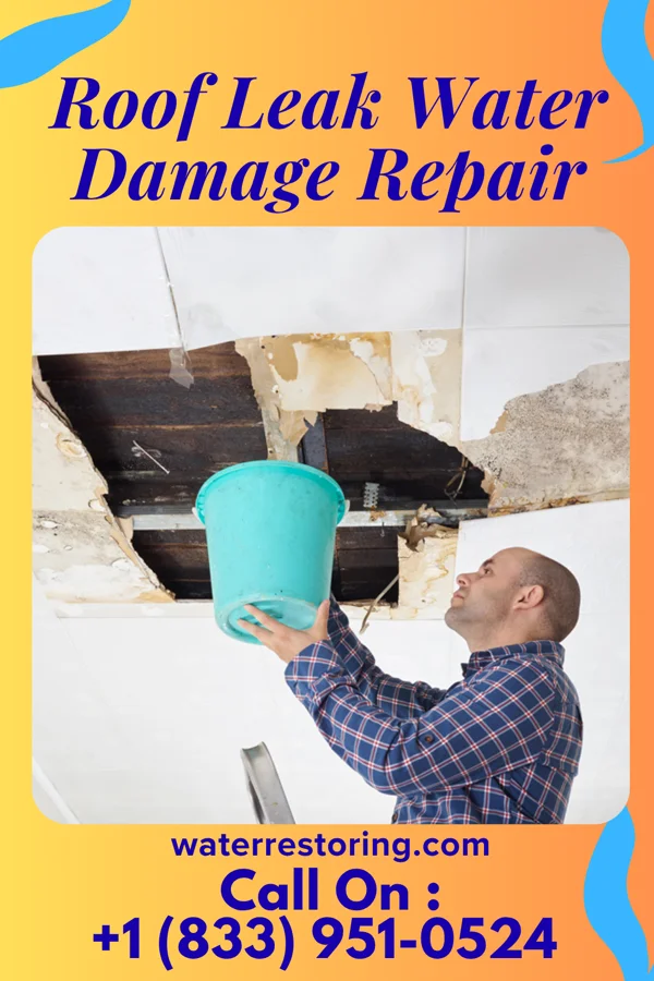 Roof Leak Water Damage Repair in Eastshore, KS